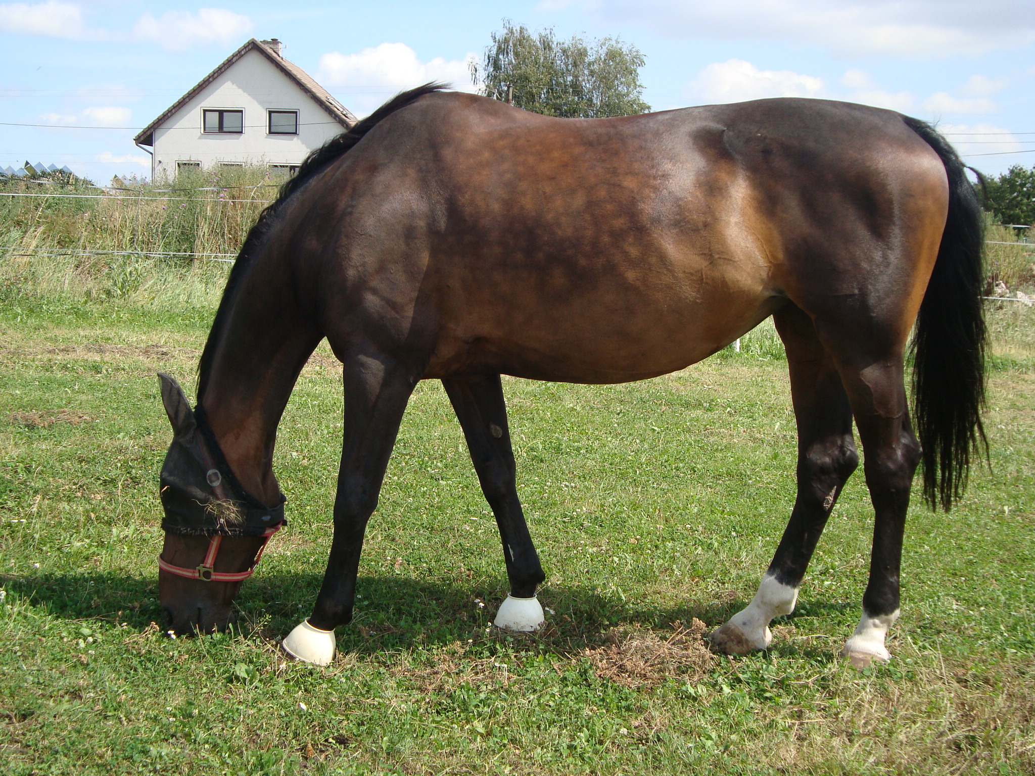 na webik 036.jpg
